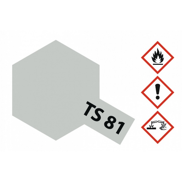 TAM Spray TS-81 Light Grey