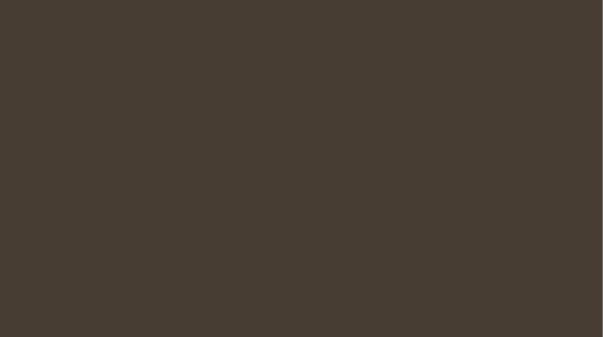 Umbra, gebrannt, 18 ml