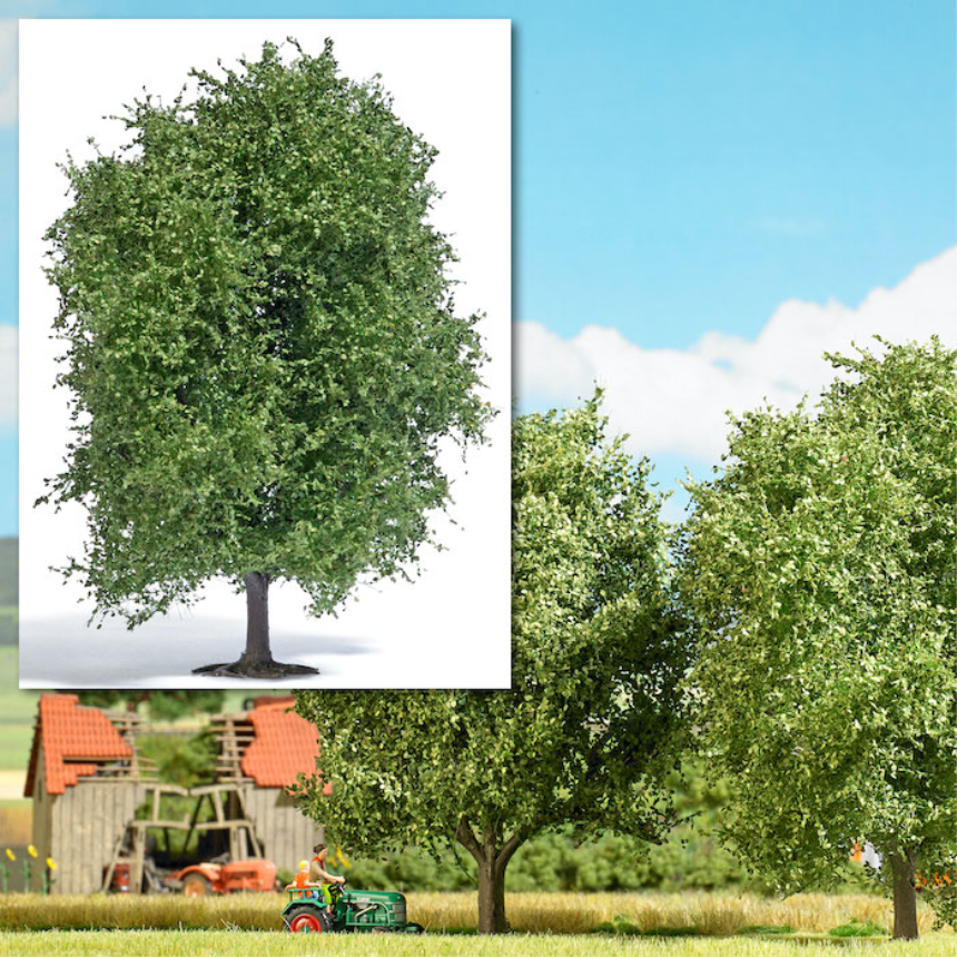 H0 Buche 125mm, Sommer