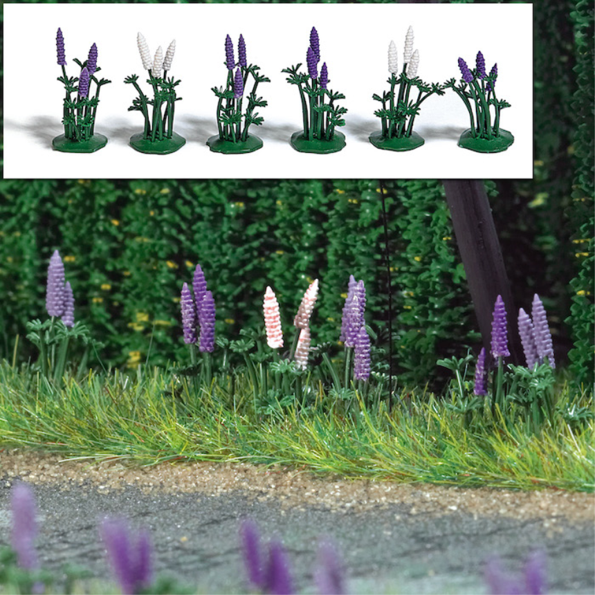 8 Stauden Wildlupinen