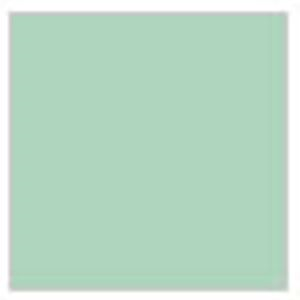 H41 Blassgr&#252;n    Pale green