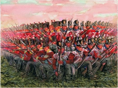 1/72 Napol.Kriege - Brit.Infanterie 1815