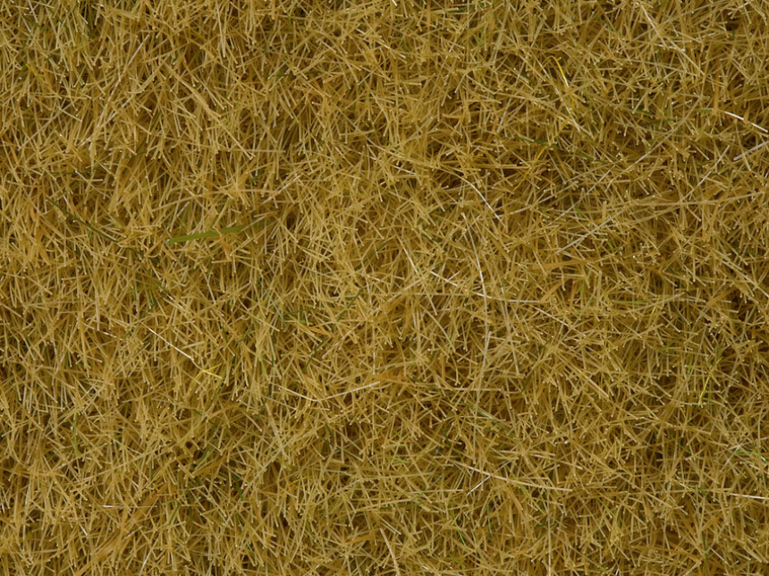 0,H0,N Wildgras beige 100g Dose