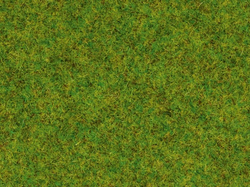 0 Gras Fr&#252;hlingswiese 2,5mm 120g Dose