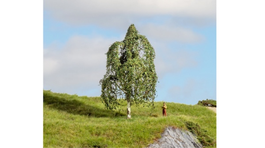 Baum H&amp;#228;ngebirke 12cm hoch