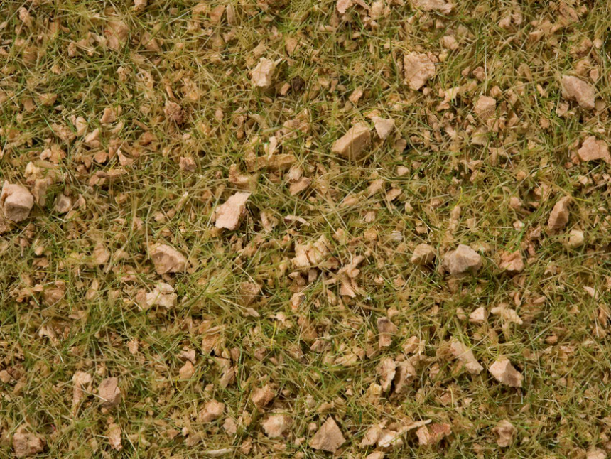 0,H0 Grasmischung Almwiese 50g Beutel