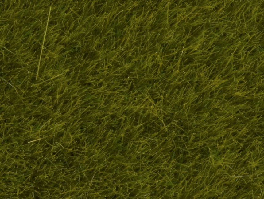 0,H0,N Wildgras Wiese 6 mm 50g Beutel