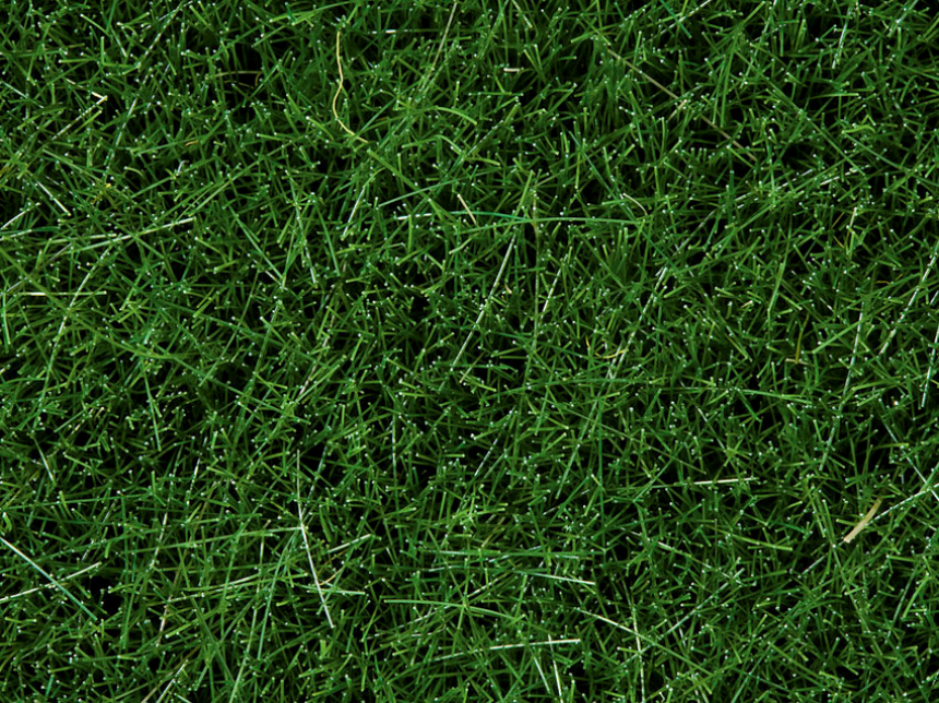 0,H0,N Wildgras dunkelgr&amp;#252;n 50g Beutel