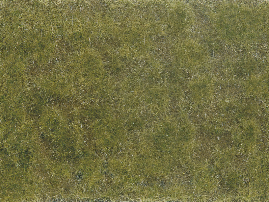 0 Bodendecker-Foliage gr&amp;#252;n/braun 12 x 18 cm