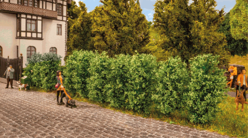 H0 N Thuja Hecke