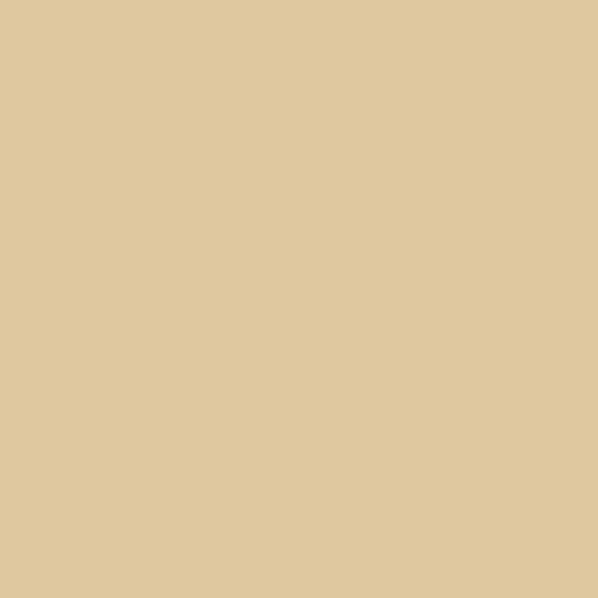 Primer W&amp;#252;stenbraun, Basisfarbe, 17 ml