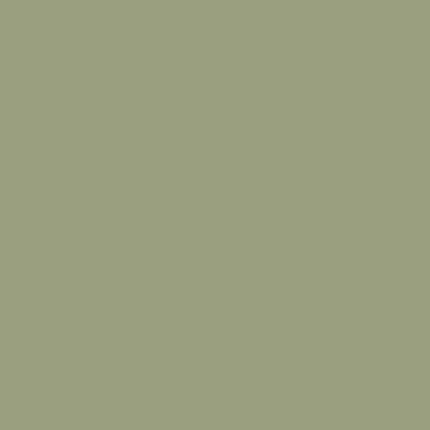 Olivgrau, matt, 17 ml