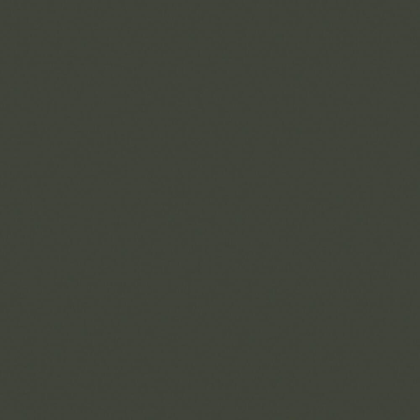 Olivgr&#252;n, RLM 80, 17 ml