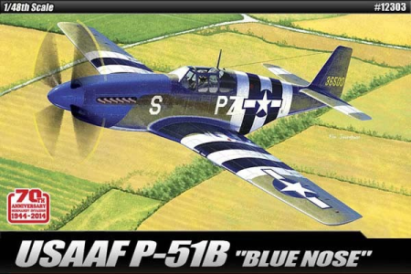 1/48 USAAF P-51B  Anniv. 70