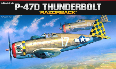 1/72 P-47D THUNDERB.(RA)