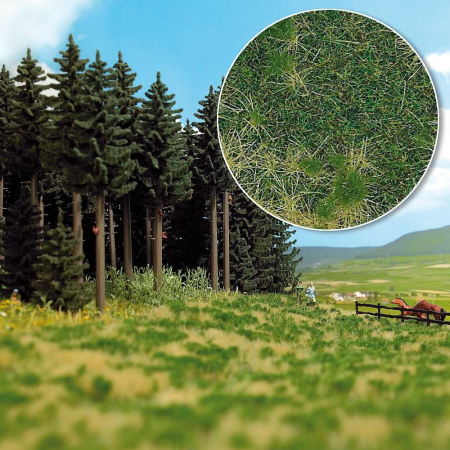 Waldrand, 3-farbig