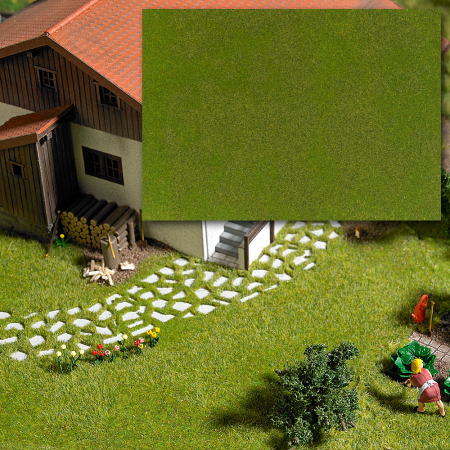 Kurzrasen Mai/Graugrün