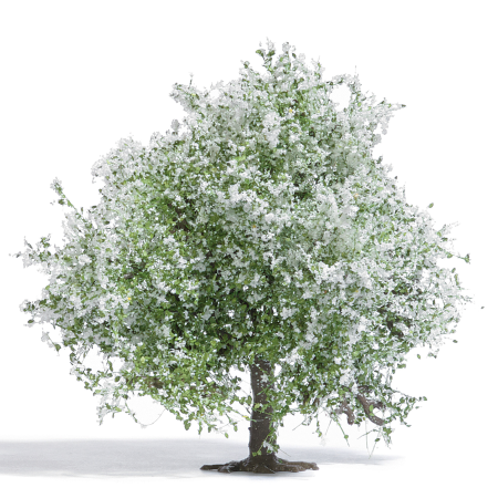 H0 Apfelbaum 75, blühend H0