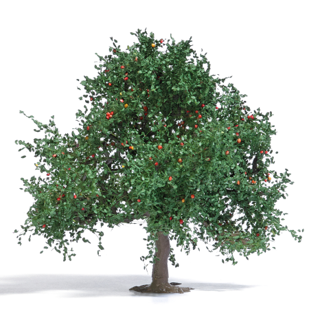 H0 Apfelbaum 75, Sommer H0
