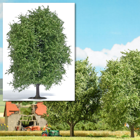 H0 Buche 125mm, Sommer