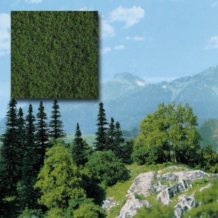 Belaubungsm. maigrün