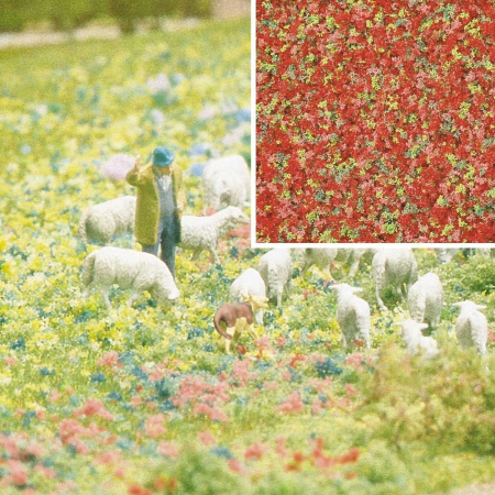 Bl&#252;ten Sommerblumen