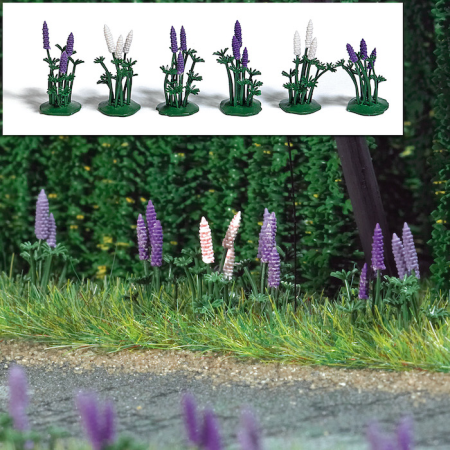 8 Stauden Wildlupinen