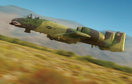 1/48 A-10 Thunderbolt II