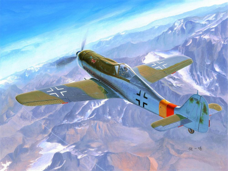 1/48 Focke-Wulf FW 190 D9