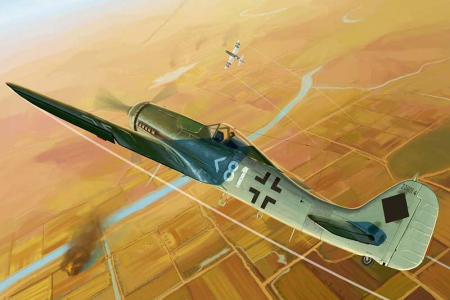 1/48 Focke Wulf FW190 D11