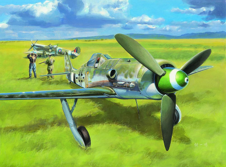 1/48 Focke Wulf FW 190D-13
