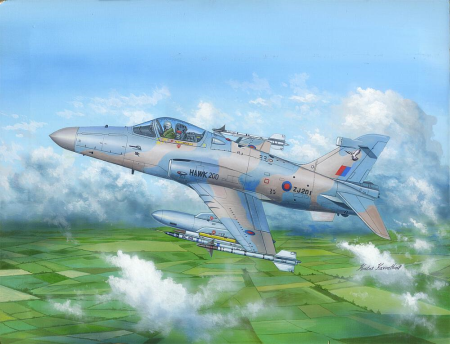 1/48 Hawk MK 200/208/209