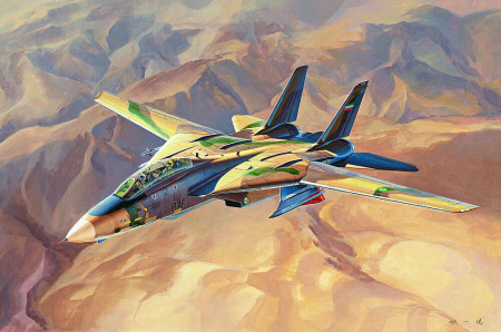 1/48 F-14A Tomcat, Persian Ca