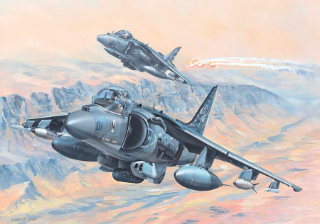 1/18 AV-8B Harrier II