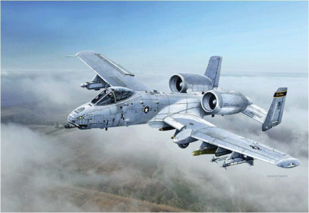 &quot;1/48 A-10C &quot;&quot;Blacksnakes&quot;&quot;&quot;