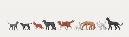 Hunde