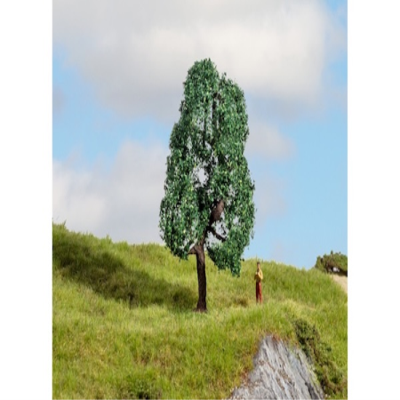 Eiche 10cm hoch