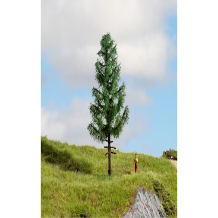 Hochstamm Fichte 14cm hoch