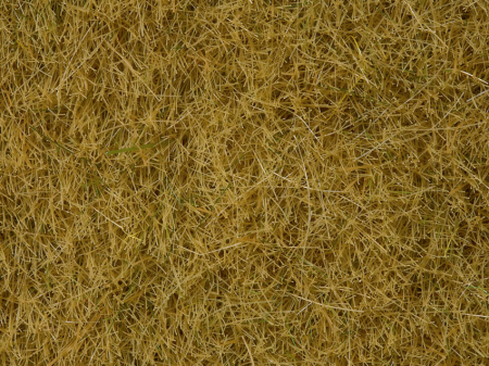0,H0,N Wildgras beige 100g Dose
