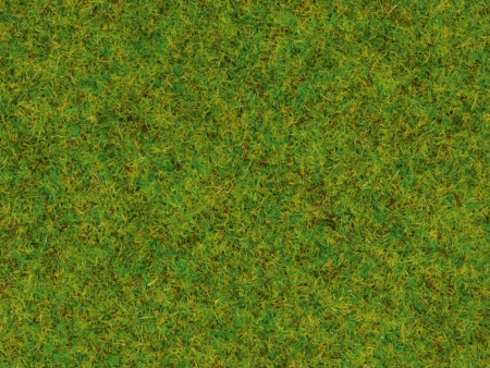 0 Gras Fr&#252;hlingswiese 2,5mm 120g Dose
