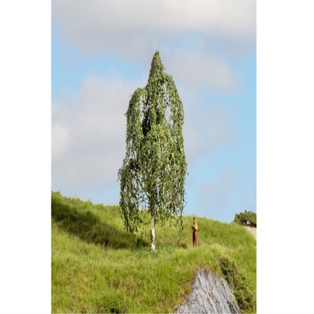 Baum H&#228;ngebirke 12cm hoch