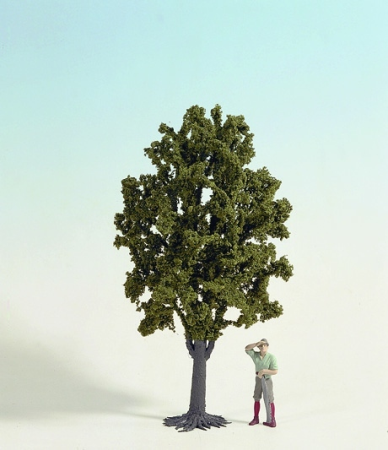 0,G Obstbaum 30 cm