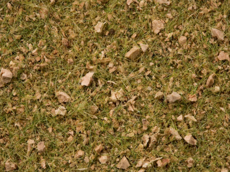 0,H0 Grasmischung Almwiese 50g Beutel