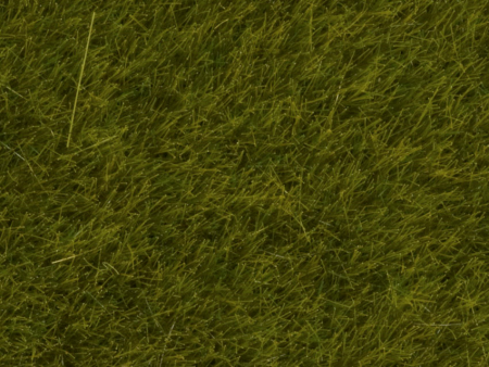 0,H0,N Wildgras Wiese 6 mm 50g Beutel