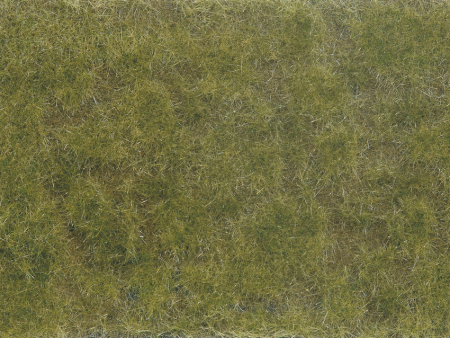 0 Bodendecker-Foliage gr&#252;n/braun 12 x 18 cm