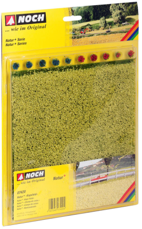 0,H0,N Natur Plus Rapsfeld