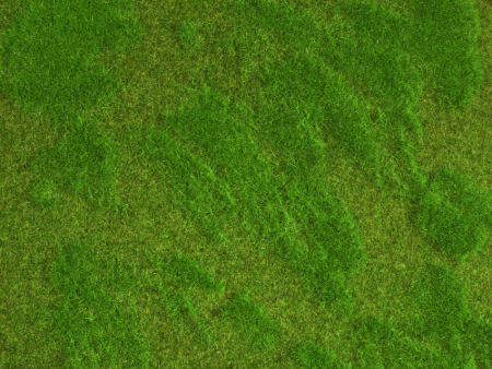 0 Natur+ Heide 25 x 25 cm