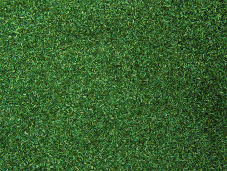 0 Streumaterial Feldrain 42g Beutel (VE5)