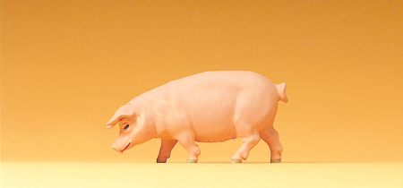 1:25 Schwein gehend