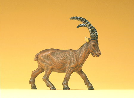1:25 Steinbock